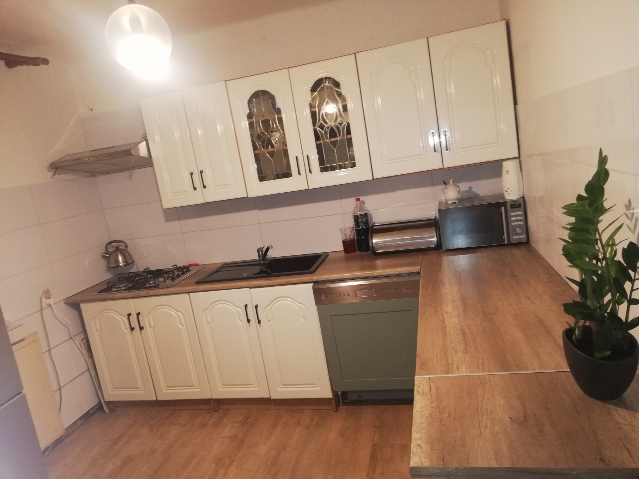 Jasna kuchnia z białymi szafkami z dekoracyjnymi szklanymi frontami, drewnianym blatem, zlewem, kuchenką gazową i zieloną zmywarką, widziana pod kątem z rośliną doniczkową na pierwszym planie.