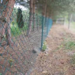 Montaż siatki ogrodzeniowej