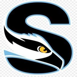 SICURO sp. z o.o. - Detektyw Zabrze