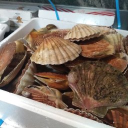 Catering świąteczny Bieszkowice 2