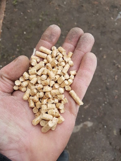 Otwarta dłoń z widocznym zabrudzeniem, wypełniona jasnymi, drewnianymi pelletami, na rozmytym tle ziemi.