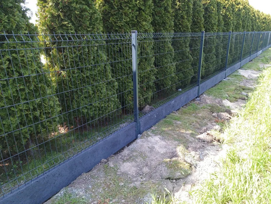 Nowoczesne ogrodzenie panelowe z podmurówką betonową, otoczone zielenią. Widok na siatkę i słupki ogrodzeniowe na tle rzędu tuj.