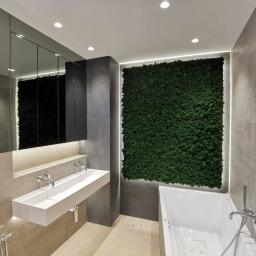 Żywy mech na ścianie. Zapach lasu podczas kąpieli :) 