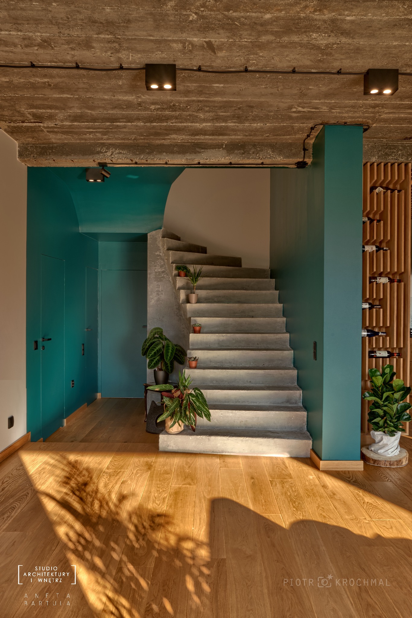 Betonowe schody z roślinami doniczkowymi, turkusowa ściana i drewniana podłoga w jasnym wnętrzu z betonowym sufitem i oświetleniem punktowym.