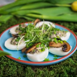 Po Pierwsze Spółka z o.o. - Dekoracyjnie podane jajka faszerowane z grzybami i posypane szczypiorkiem na niebieskim talerzu z czerwoną obwódką, otoczone mchem i żółtymi tulipanami.