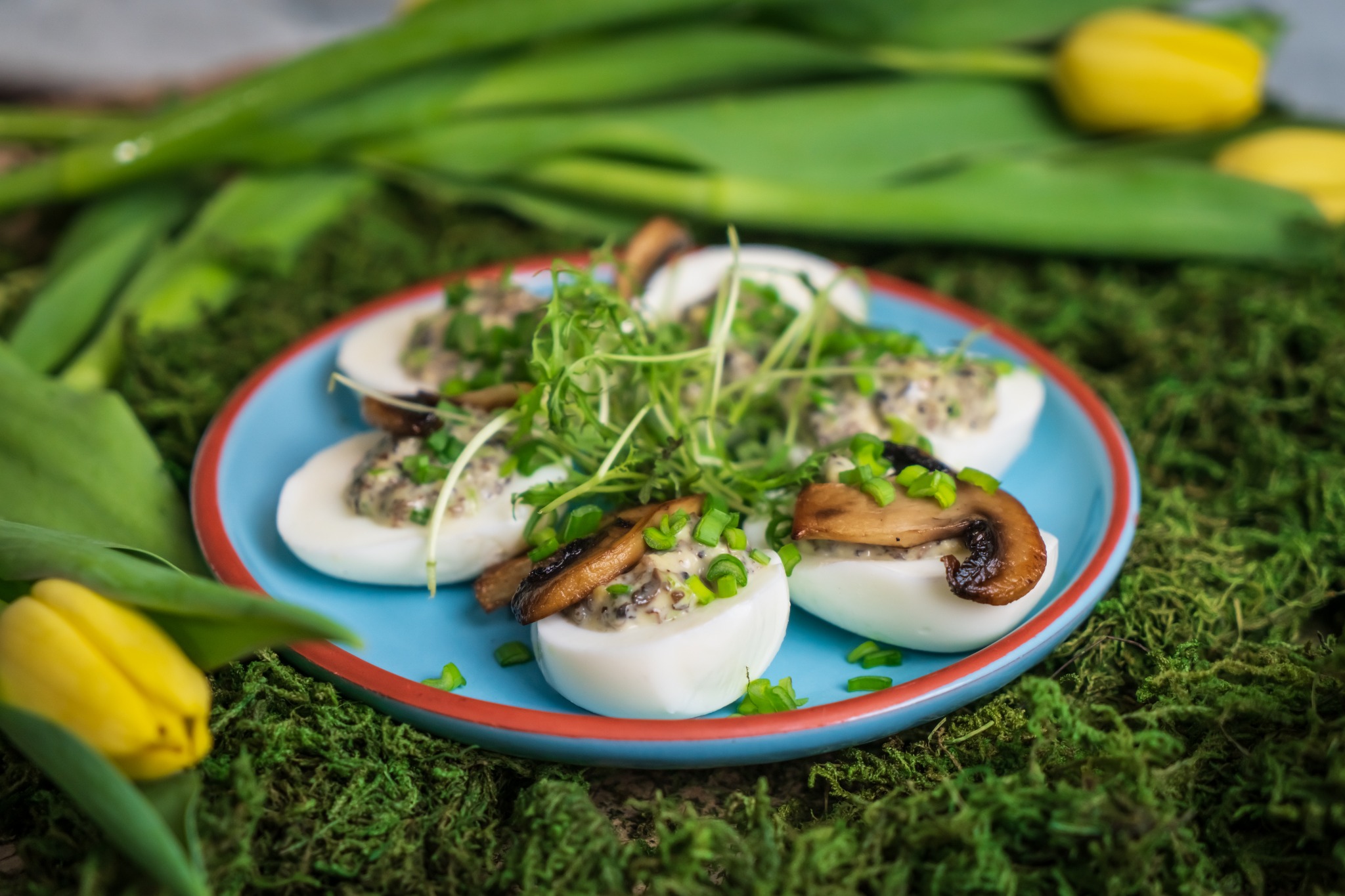 Dekoracyjnie podane jajka faszerowane z grzybami i posypane szczypiorkiem na niebieskim talerzu z czerwoną obwódką, otoczone mchem i żółtymi tulipanami.