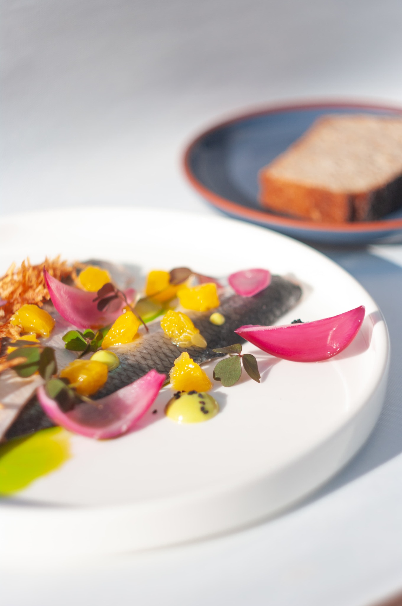 Elegancko podane śledzie z pomarańczą, marynowaną czerwoną cebulą i sosem, na białym talerzu z kromką chleba w tle.