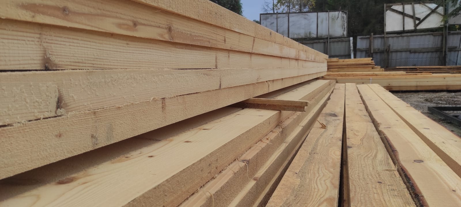 Stos świeżo przetartego drewna budowlanego z widocznymi słojami i niedoskonałościami, ułożony na placu składowym z metalowym ogrodzeniem w tle.