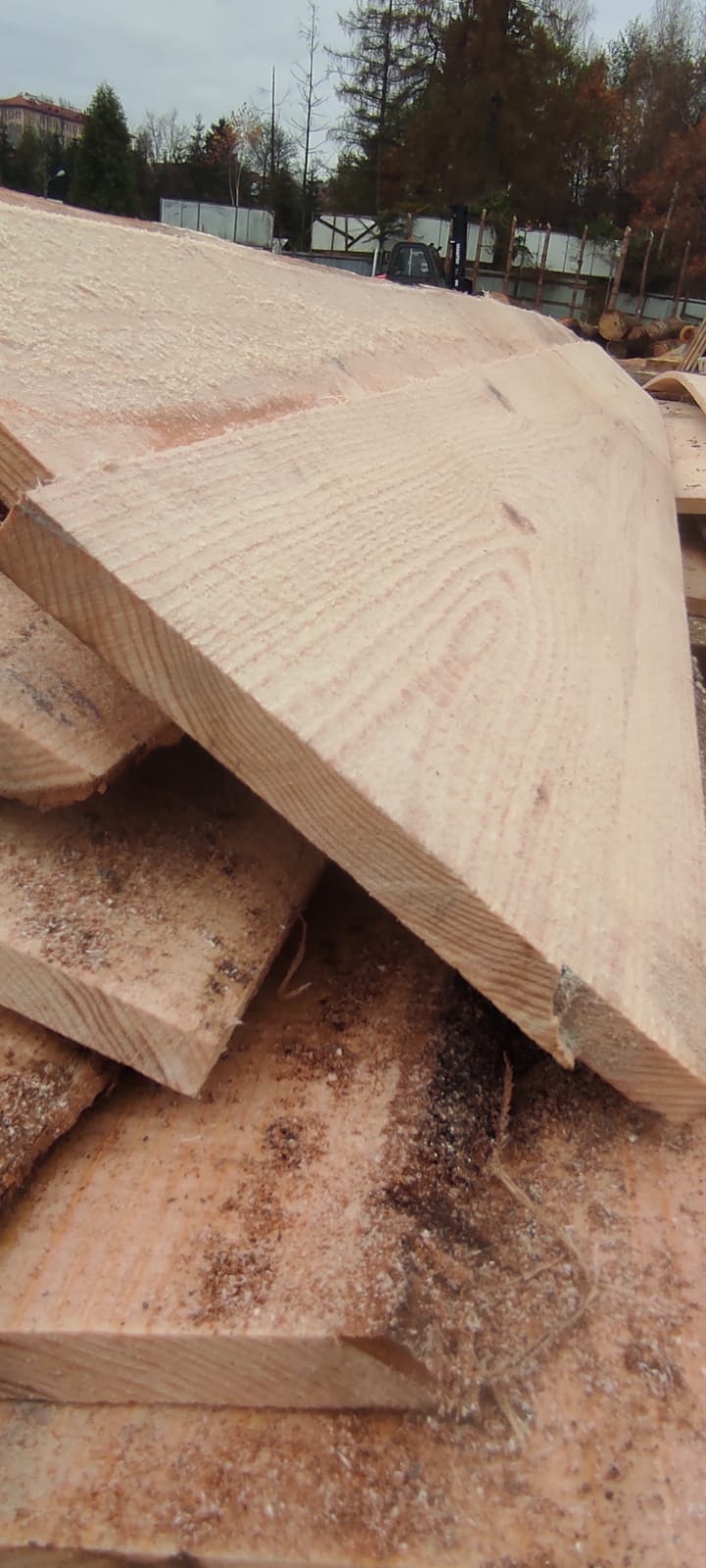 Stos świeżo przetartego drewna iglastego z widocznymi śladami cięcia i drobnymi wiórami, w tle zabudowania i drzewa.