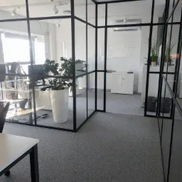 Nowoczesne biuro z przeszklonymi ściankami działowymi w czarnych ramach, szara wykładzina dywanowa, białe biurka i szafki, roślina doniczkowa w białej donicy, widoczne oświetlenie sufitowe.