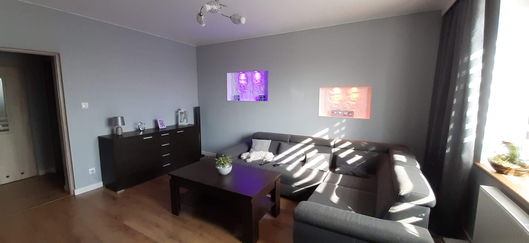 Szare wnętrze salonu z narożną sofą, ciemnymi meblami i podświetlanymi wnękami na ścianie, oświetlone światłem dziennym wpadającym przez okno.