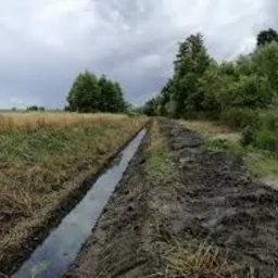 Świeżo wykopany rów melioracyjny w Górzycy, z widocznymi śladami opon ciężkiego sprzętu na grząskiej ziemi i polami w tle.