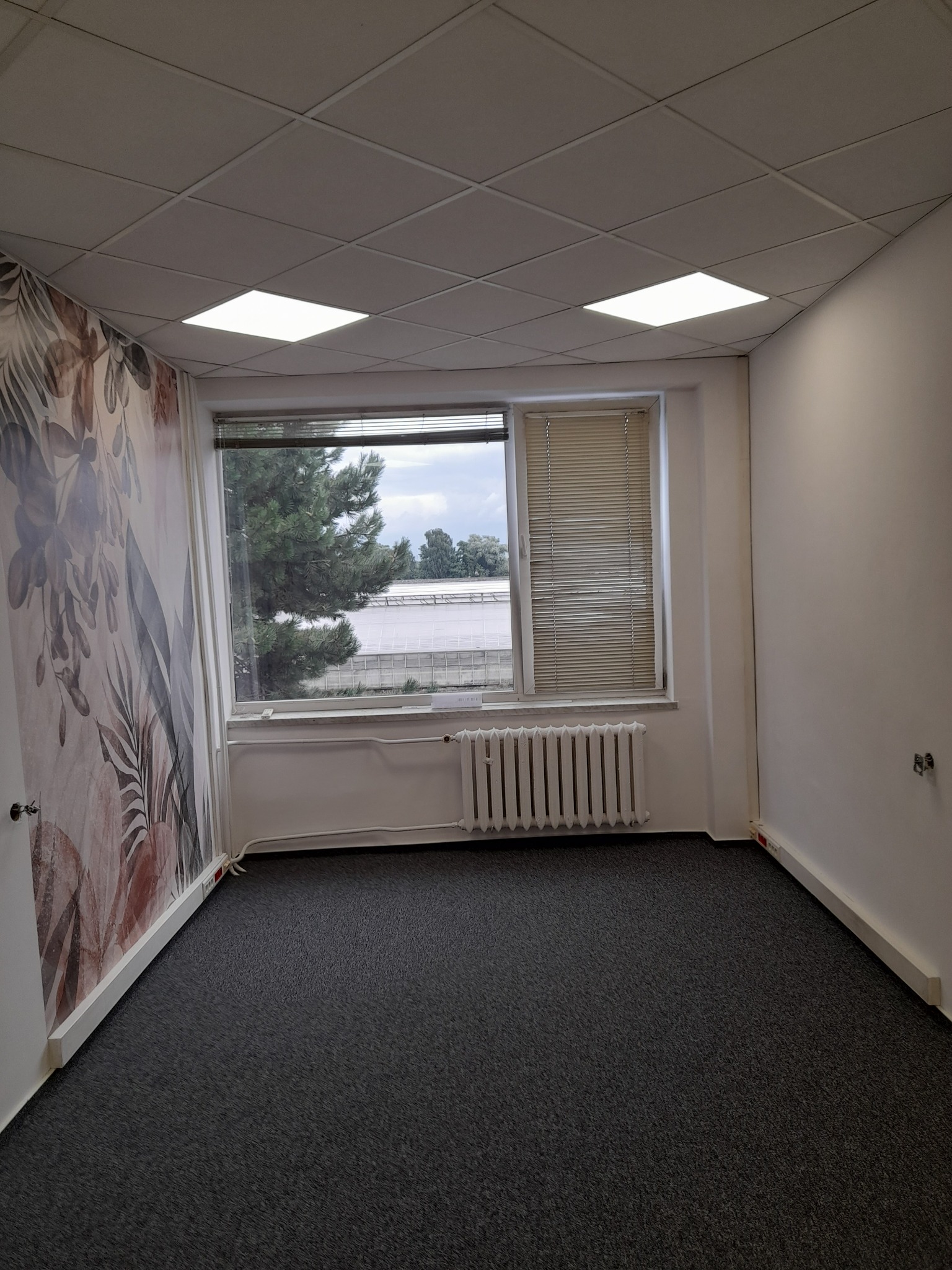 Pusty pokój biurowy z szarą wykładziną, wzorzystą tapetą z motywem roślinnym na jednej ścianie i grzejnikiem pod oknem z żaluzjami.