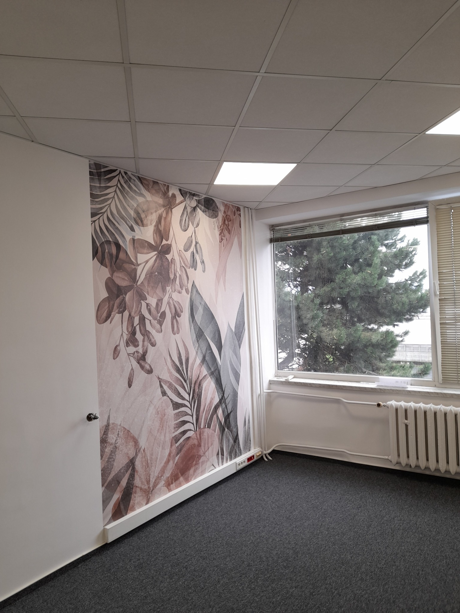 Pokój biurowy z fototapetą w motywy roślinne na ścianie, szara wykładzina, okno z widokiem na drzewo.