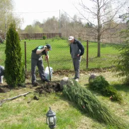 Trzech mężczyzn w kombinezonach sadzi drzewka iglaste w ogrodzie, jeden z nich używa szpadla, w tle widoczny dom i ogrodzenie z siatki.