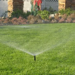 Automatyczne nawadnianie trawnika w ogrodzie w Warszawie, zraszacz w akcji na tle rabaty z krzewami i pracujących ogrodników.