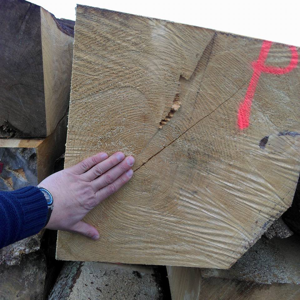 Dłoń dotyka świeżo przetartego, wilgotnego bala drewna o wyraźnych słojach i pęknięciu, oznaczonym różową farbą, leżącego na stosie innych bali.