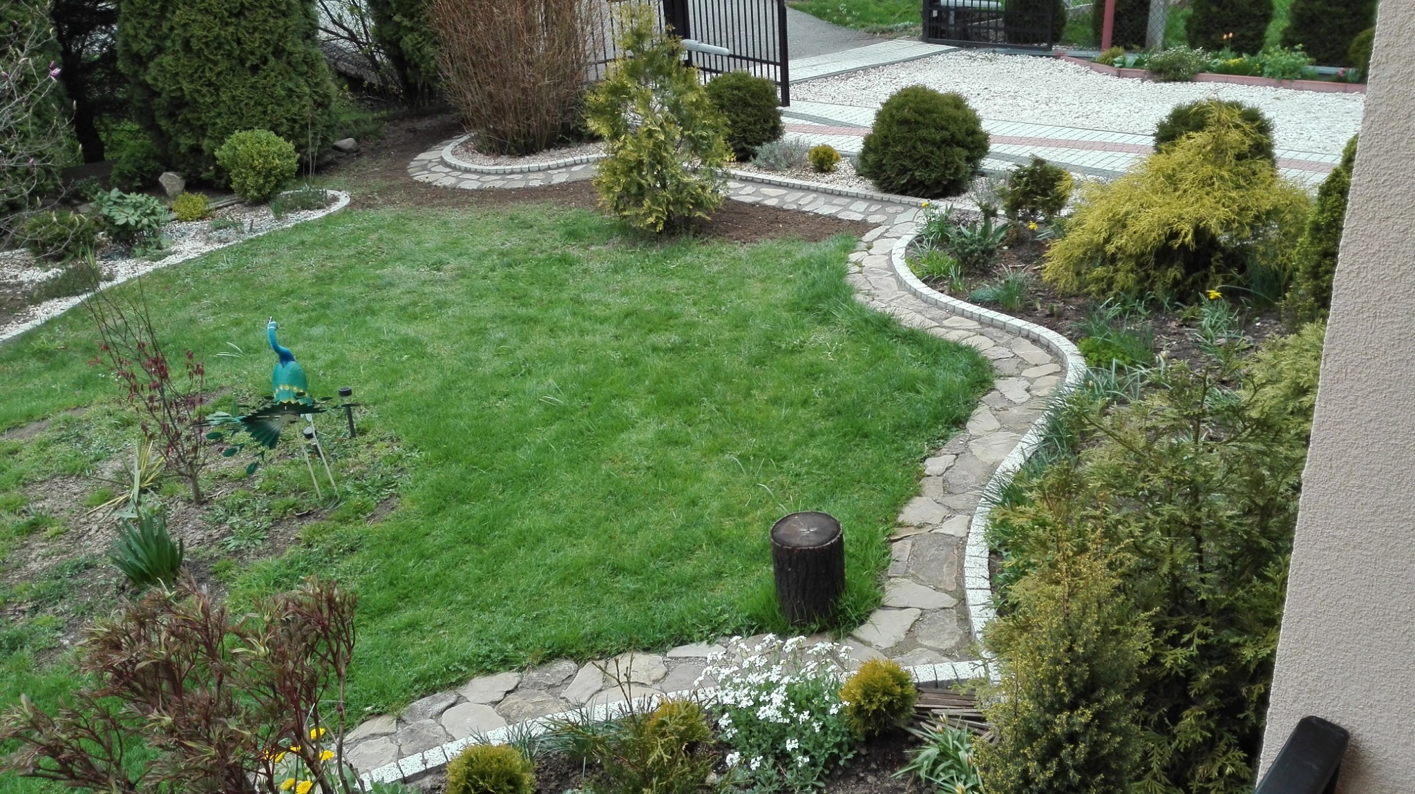 Ujęcie z góry na zadbany ogród z wijącą się ścieżką z kamieni, obrzeżami z kostki, trawnikiem, ozdobnym pawiem i dekoracyjnym pniem drzewa