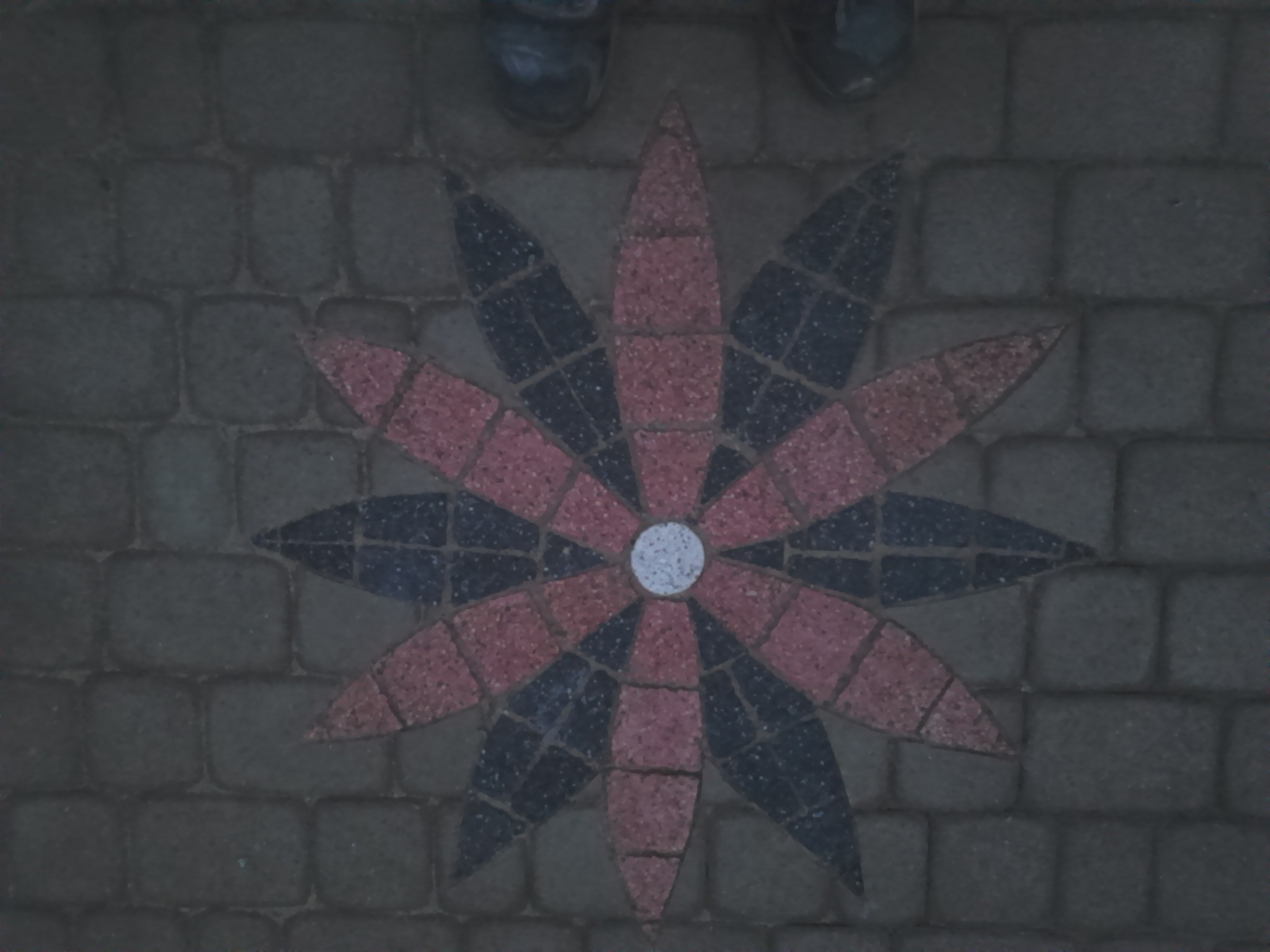 Wzór kwiatu ułożony z kostki brukowej w kolorach czerwonym i czarnym, otoczony szarą kostką brukową, widoczne fragmenty butów osoby fotografującej.