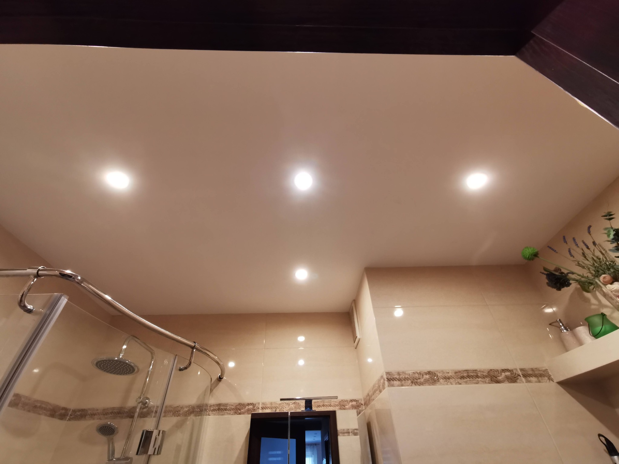 Łazienka z zamontowanym oświetleniem punktowym w suficie podwieszanym, widoczna kabina prysznicowa z chromowanymi elementami.