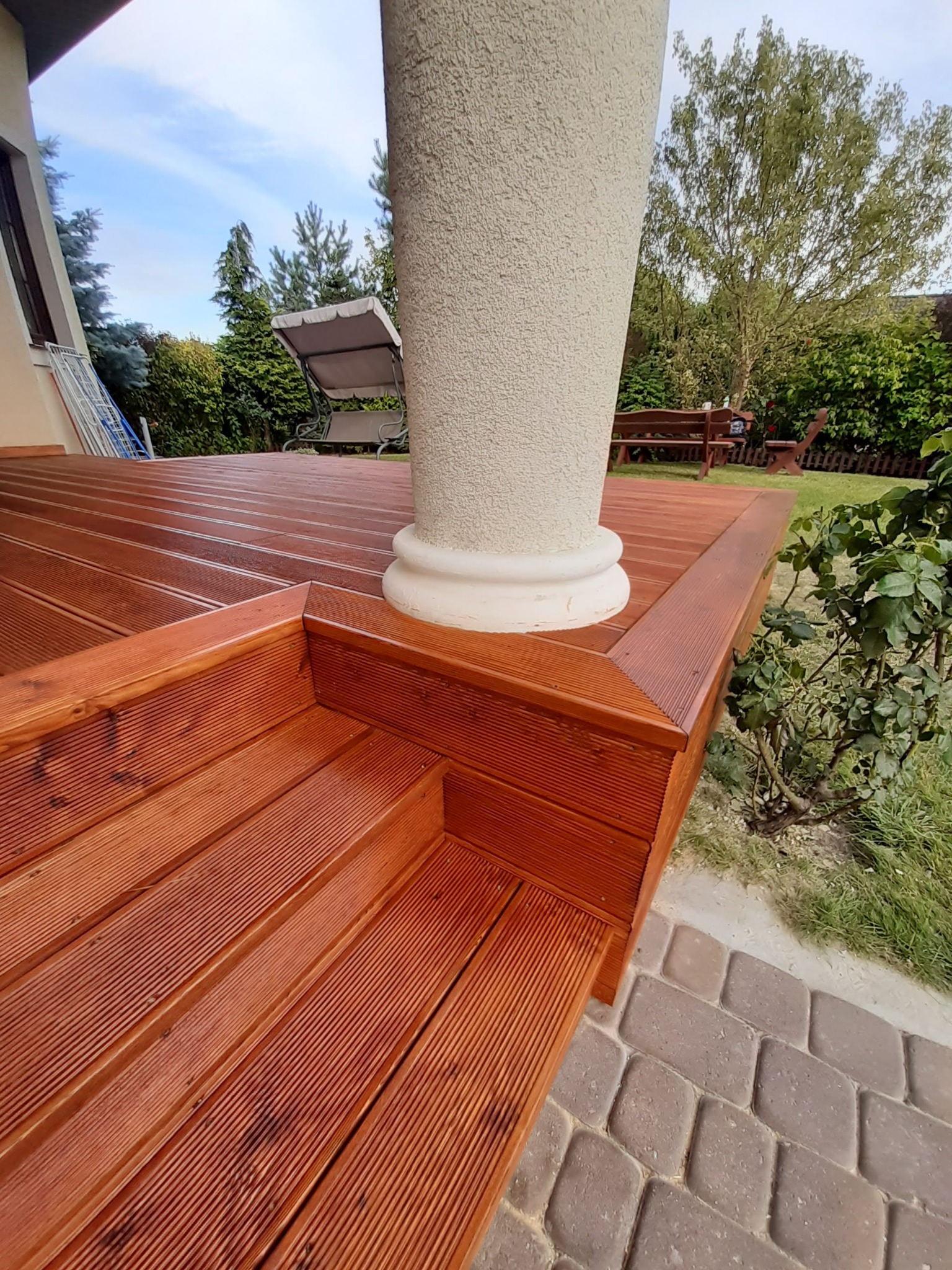 modrzew syberyjski kolor teak