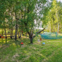 Opaliński Nieruchomości - Zielony ogród z placem zabaw: trampolina, huśtawki na drzewach i siatka do wspinaczki, otoczone drzewami i ścieżką z kamieni.