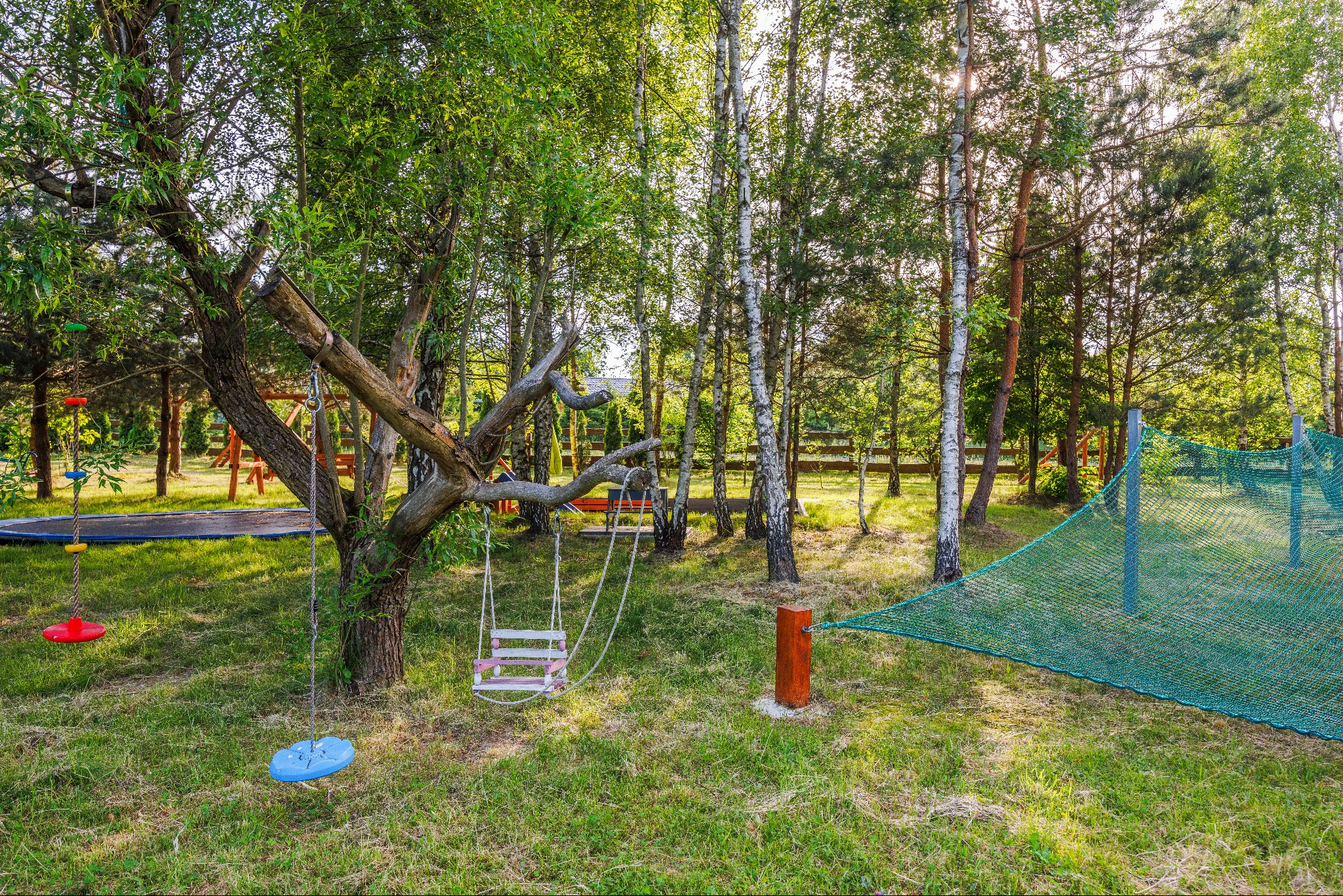 Plac zabaw z huśtawkami na drzewie i trampoliną w otoczeniu drzew brzozowych, z zieloną siatką zabezpieczającą w tle.