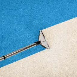 Profesjonalne urządzenie do czyszczenia dywanów w trakcie pracy, widoczny efekt odświeżenia na granicy niebieskiego i beżowego runa.