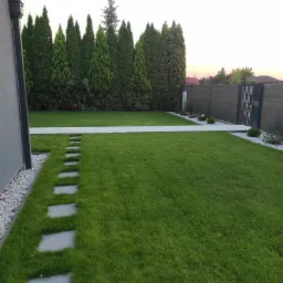 Zadbany trawnik z ścieżką z płyt kamiennych, rząd tuj przy ogrodzeniu i elementami dekoracyjnymi z białego kamienia.