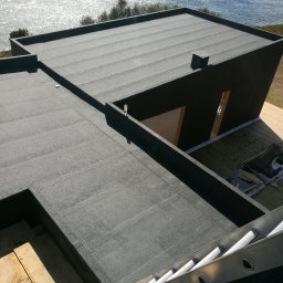 Kormoran dachy płaskie - Profesjonalne Czyszczenie Dachu w Gdyni