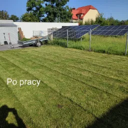 Świeżo skoszone paski trawy na tle paneli słonecznych i budynku gospodarczego, przyczepka z resztkami trawy, cień fotografa w dolnym rogu.