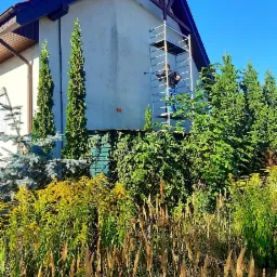 Pracownik na rusztowaniu czyści elewację domu myjką ciśnieniową, widoczne zacieki na ścianie, bujna roślinność w tle.