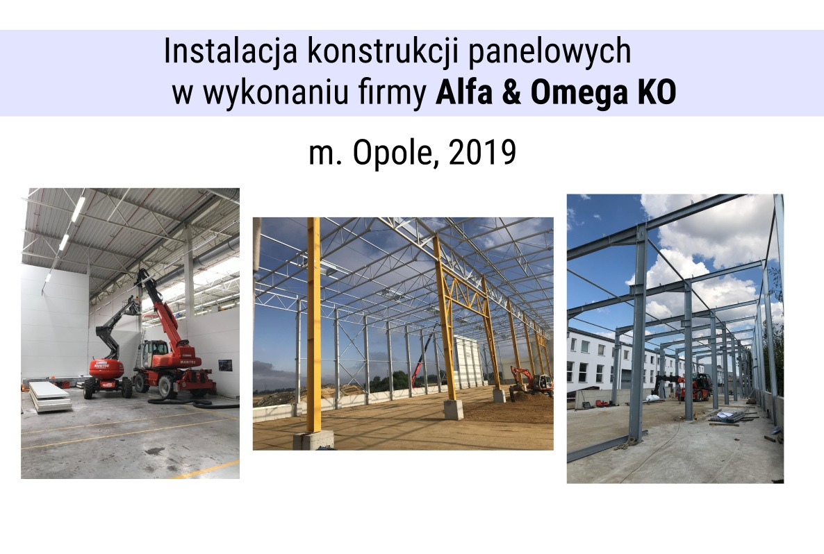 Montaż konstrukcji stalowej hali magazynowej z użyciem podnośników teleskopowych, widoczne elementy szkieletu i ekipa budowlana w trakcie pracy.