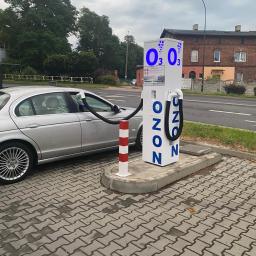 Dezynsekcja i deratyzacja Rybnik 4