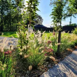 Uporządkowany ogród z ozdobnymi trawami, młodymi drzewkami i kwiatami, obrzeże z kamieni i kostki brukowej, oświetlenie ogrodowe, zadbany trawnik w tle.