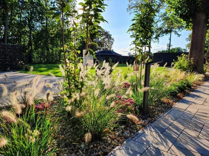 Uporządkowany ogród z ozdobnymi trawami, młodymi drzewkami i kwiatami, obrzeże z kamieni i kostki brukowej, oświetlenie ogrodowe, zadbany trawnik w tle.