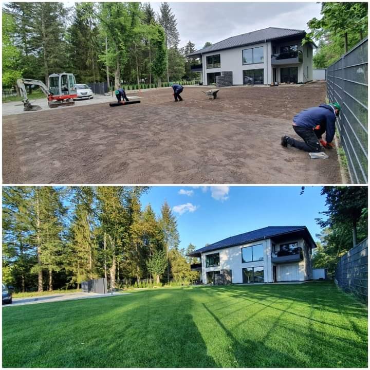 Dwuetapowe ujęcie: górne pokazuje przygotowanie terenu z mini-koparką, robotnikami rozkładającymi darń i wyrównującymi teren; dolne prezentuje efekt końcowy - idealny, zielony trawnik przed...