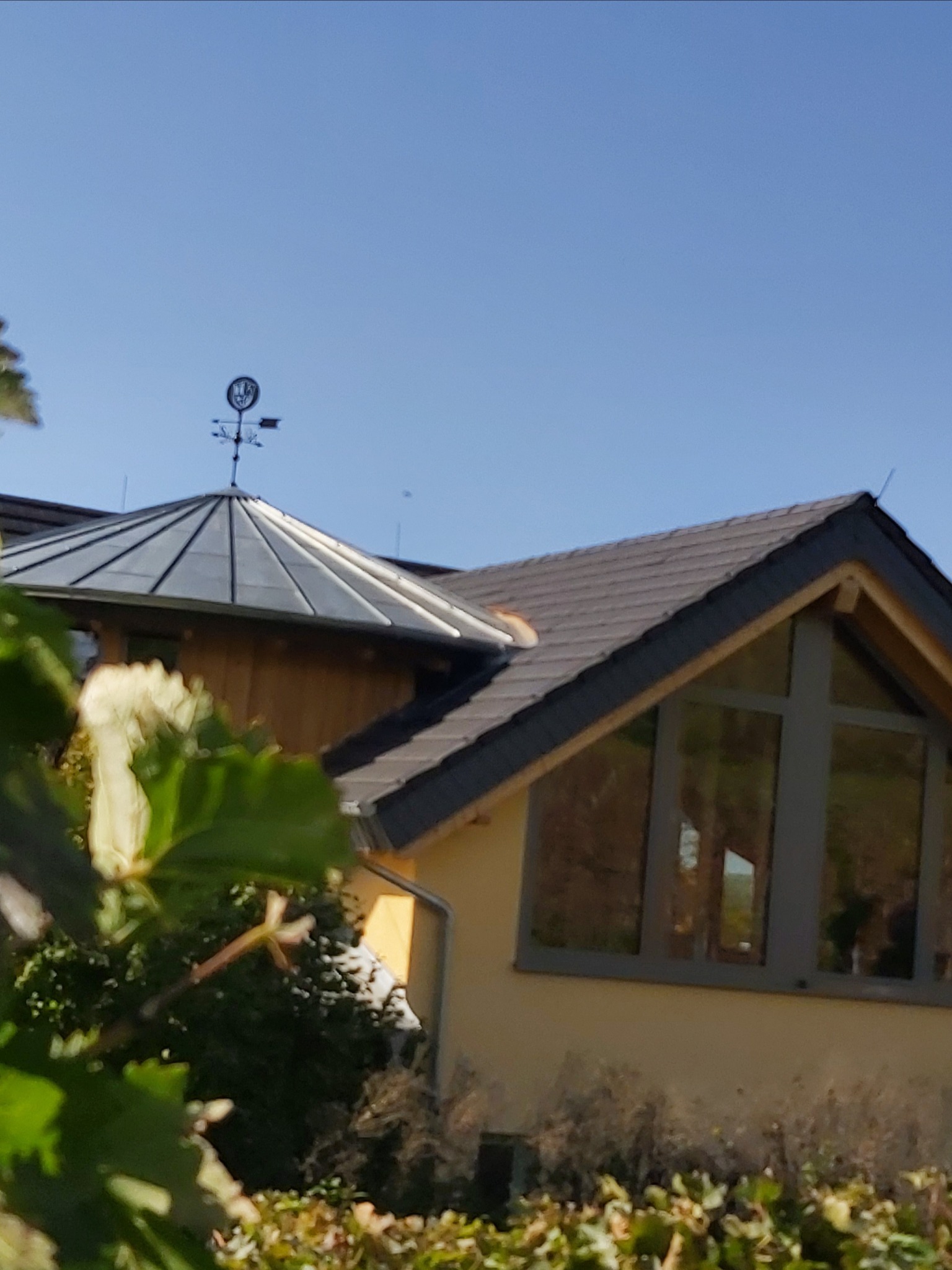 Fragment domu z ciemną dachówką, widoczny zza zieleni, z ozdobną metalową chorągiewką na szczycie dachu.