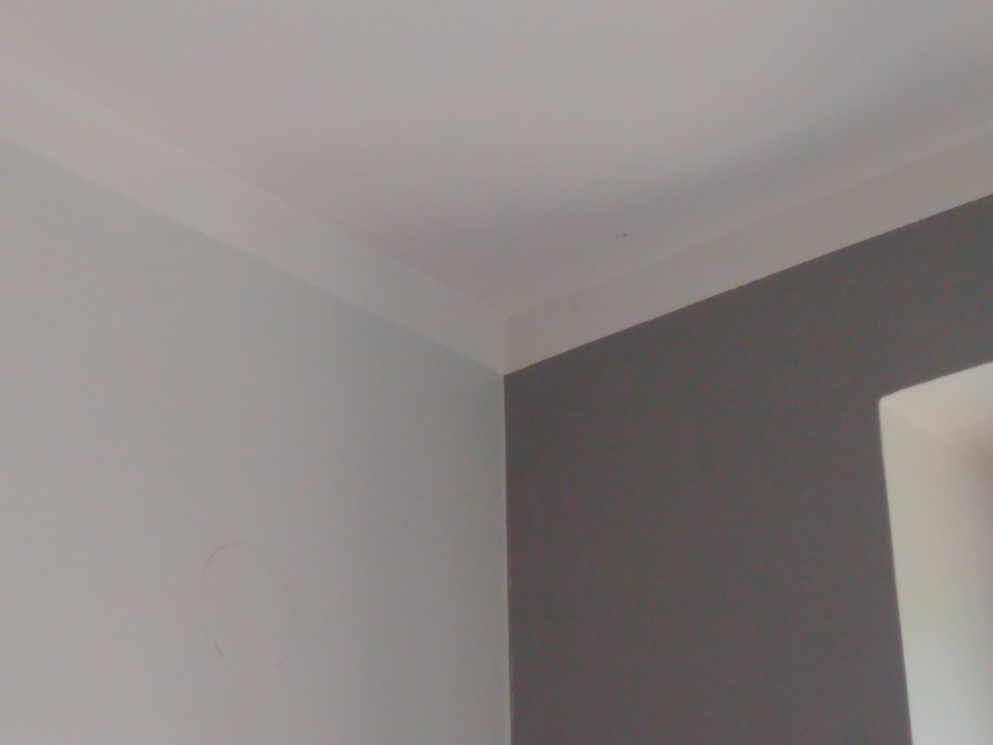 Pomieszczenie po odświeżeniu: ściany pomalowane na szaro i jasno szaro z białym wykończeniem sufitu.