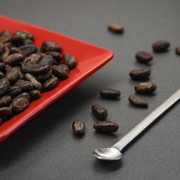 workshop44 - Prażone ziarna kakaowca na czerwonym talerzyku i obok z długą, srebrną łyżeczką na ciemnym tle.