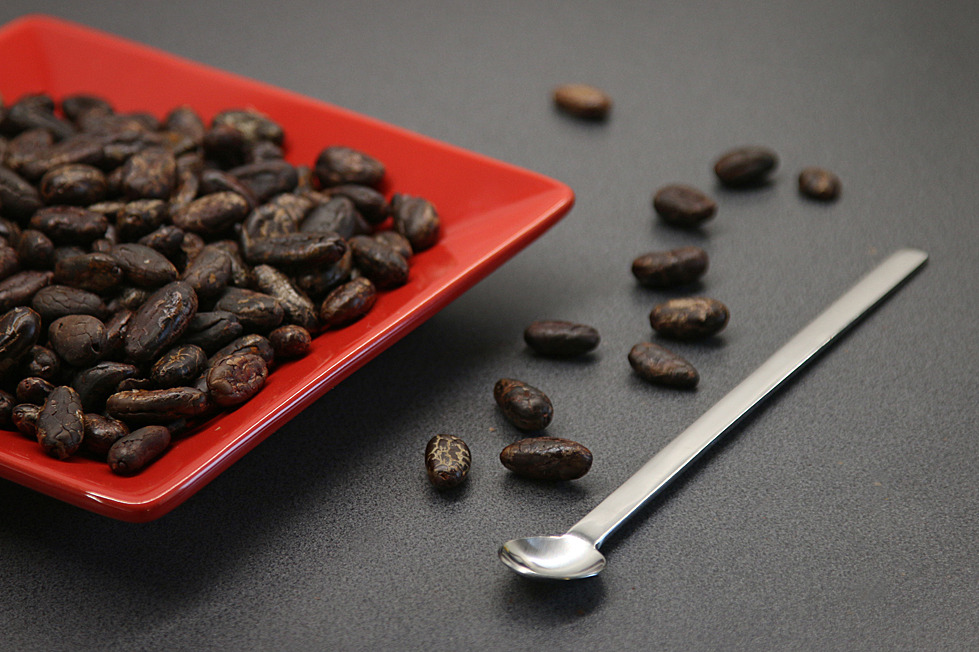 Prażone ziarna kakaowca na czerwonym talerzyku i obok z długą, srebrną łyżeczką na ciemnym tle.