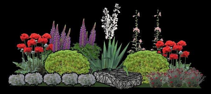 Kompozycja roślinna z makami, łubinem, kulistymi krzewami, juką i malwami, uzupełniona kamieniem z siatkową teksturą.