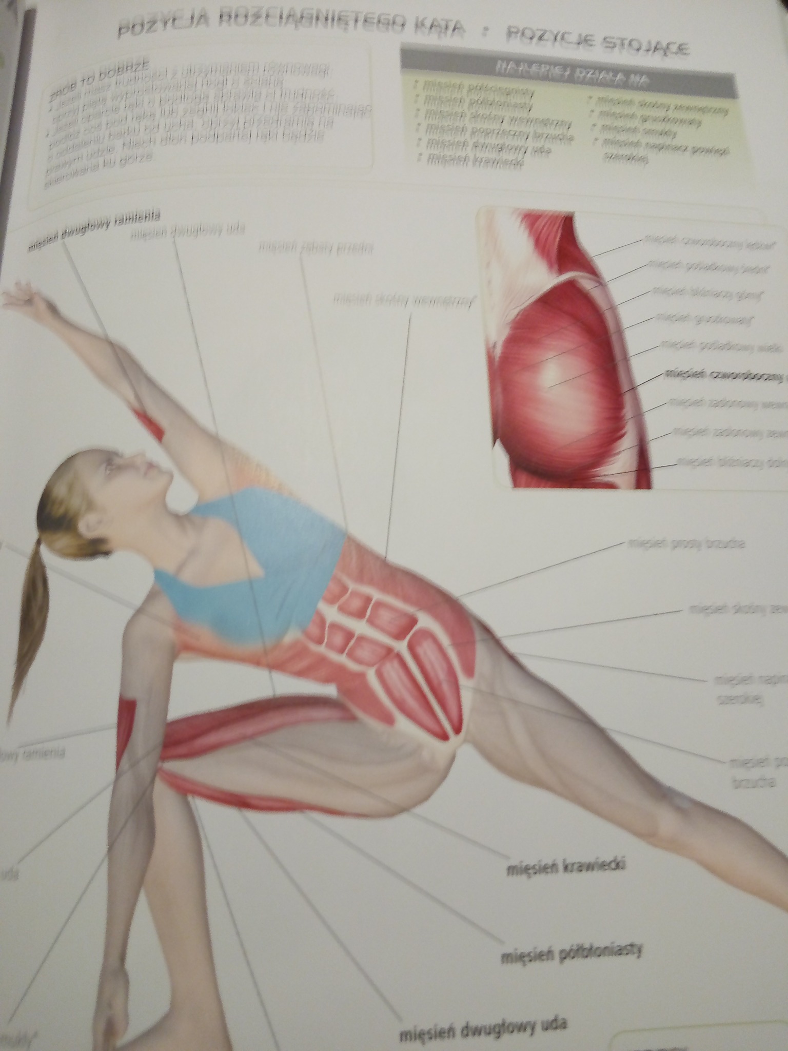 Ilustracja z książki przedstawiająca kobietę w pozycji rozciągającej, z nałożonym schematem mięśni i ich nazw