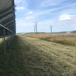 Wykaszamy farmy fotowoltaiczne na terenie całej polski, profesjonalnie i ze smakiem :)