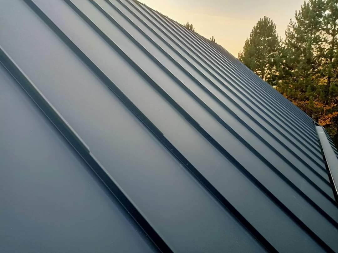 Nowe, szare pokrycie dachowe z blachy na tle drzew iglastych o zachodzie słońca.