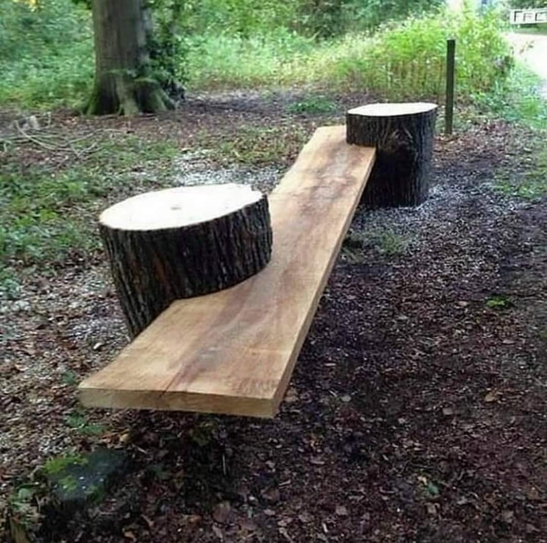 Nietypowa ławka parkowa wykonana z grubej deski osadzonej na dwóch pniakach drzew, umieszczona na ziemi pokrytej ściółką leśną.