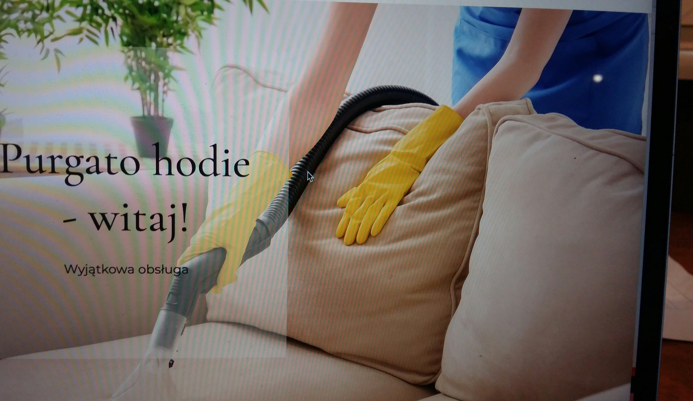 Reklama usługi czyszczenia tapicerki meblowej: osoba w niebieskim uniformie i żółtych rękawicach używa odkurzacza piorącego na beżowej kanapie. W tle widoczna roślina doniczkowa i napis 'Purgato...