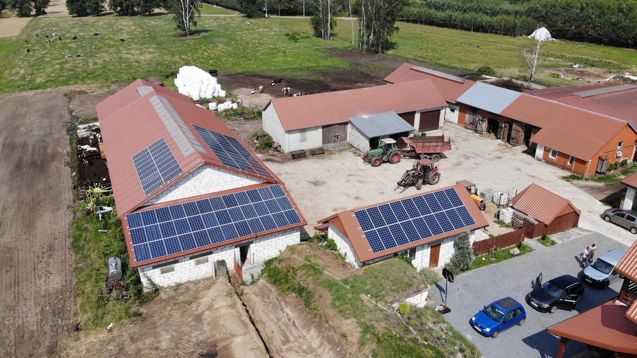 Widok z lotu ptaka na zabudowania gospodarcze z instalacją fotowoltaiczną na dachach, w tle pastwisko z krowami i maszyny rolnicze.