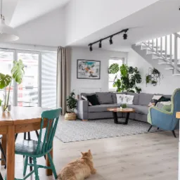 Jasne, przestronne wnętrze z drewnianym stołem, turkusowym krzesłem, szarą sofą narożną, schodami i rudym kotem leżącym na podłodze.