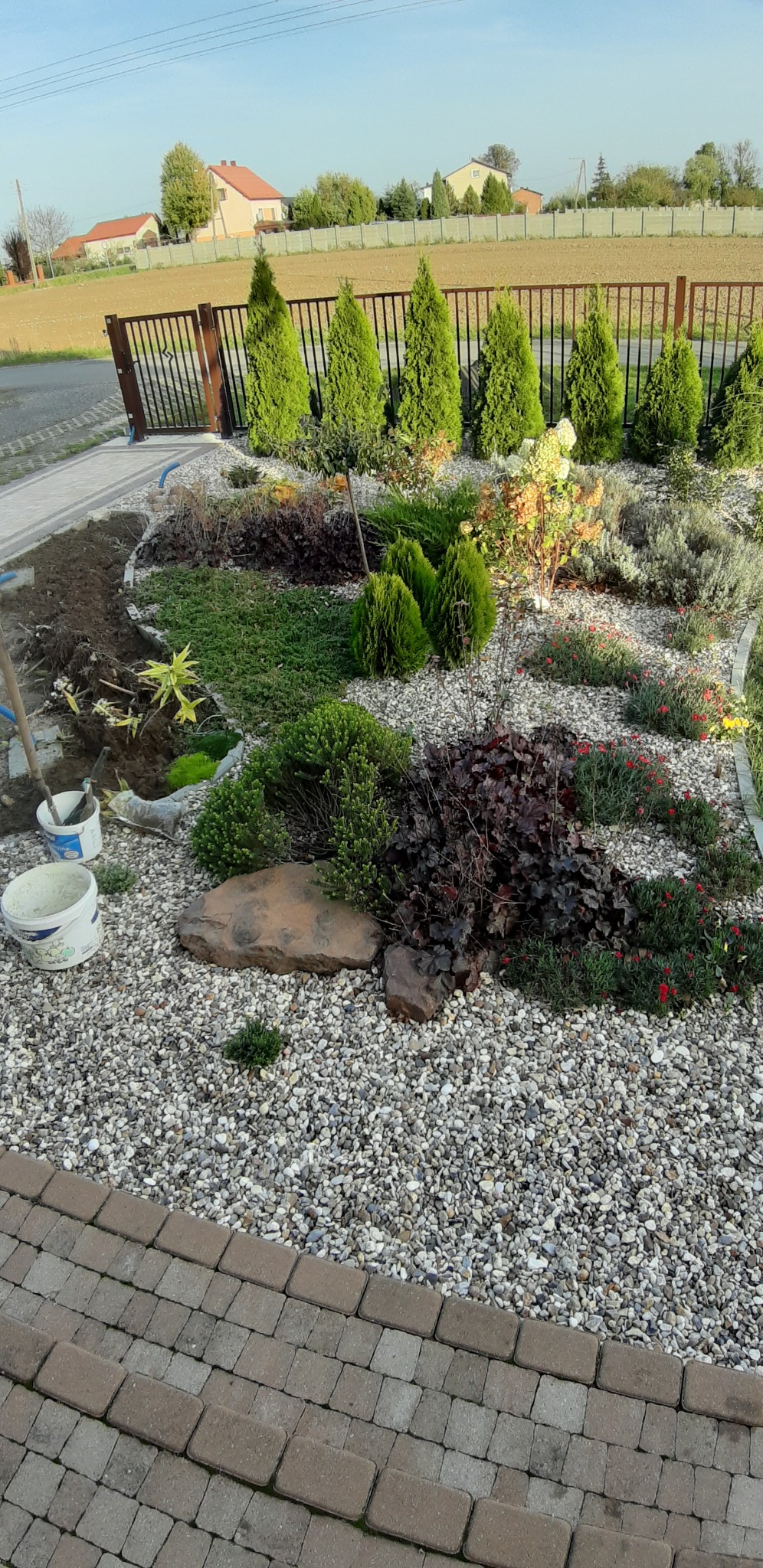 Fragment ogrodu w trakcie tworzenia z widocznymi narzędziami, kamieniami dekoracyjnymi, niskimi krzewami, tujami przy płocie i fragmentem ścieżki z kostki brukowej.